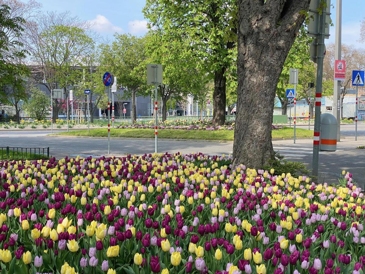 Magic Vienna Right Next To The Prater! 아파트 외부 사진